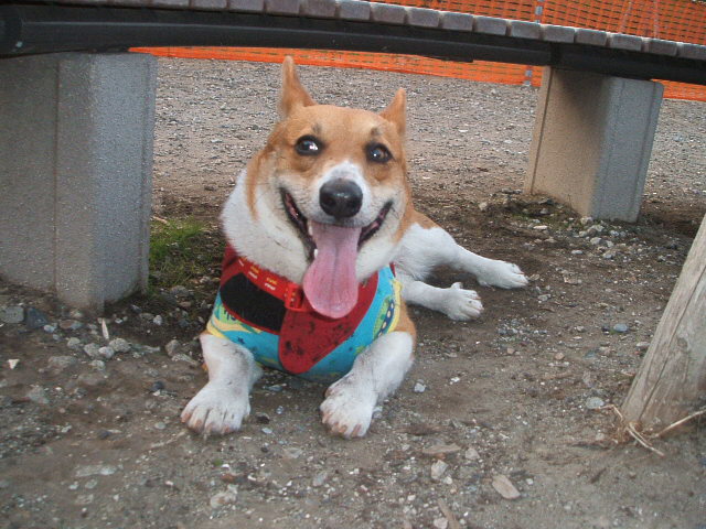 a0024004_18343861.jpg