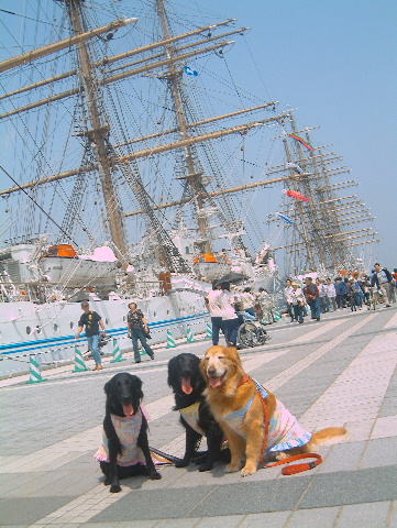 c0017311_1071295.jpg
