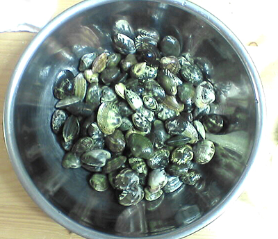 f0060214_1016985.jpg