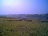 e0075015_23555082.jpg