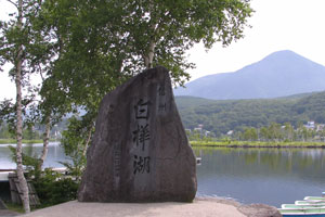 f0035016_817244.jpg