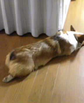 f0028123_046867.jpg