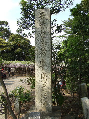 e0064133_003369.jpg