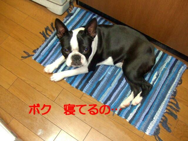 f0059334_8461281.jpg