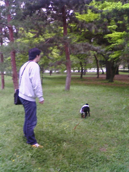 e0040544_10495962.jpg