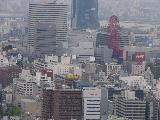 f0094045_834312.jpg