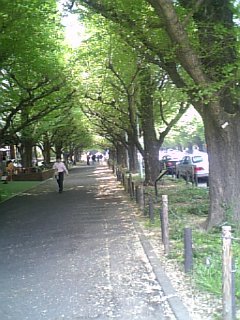 f0053847_2023328.jpg