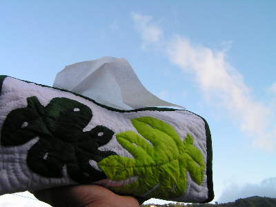 f0053847_21145971.jpg