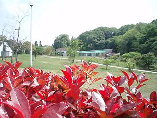 f0035963_2249350.jpg