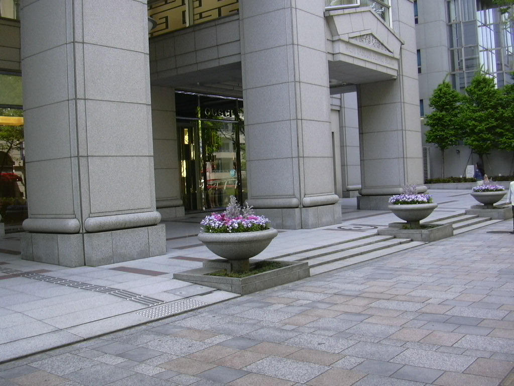 d0048366_994094.jpg