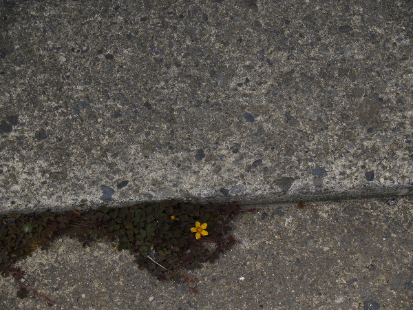 b0027880_11412271.jpg