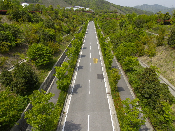b0027880_11423335.jpg