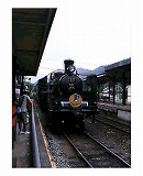 f0015381_4262787.jpg