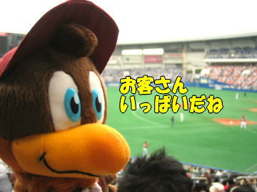 b0041182_072894.jpg