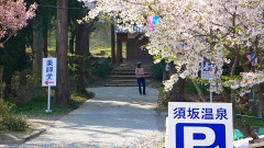 b0042882_22332254.jpg