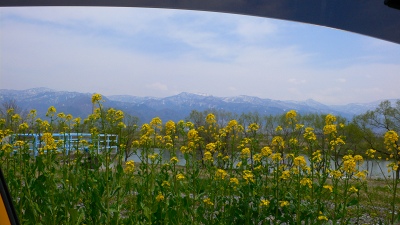b0042882_23515994.jpg