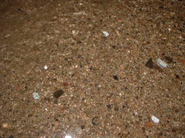 e0060485_003051.jpg
