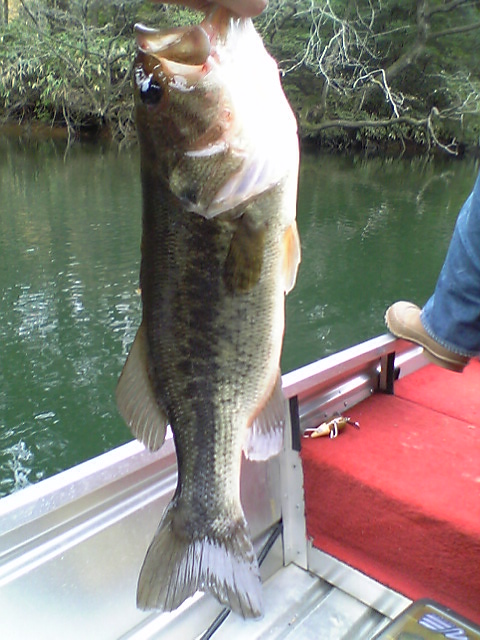 c0048889_2323581.jpg