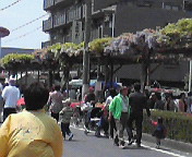 e0017290_7192967.jpg