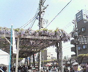 e0017290_7201870.jpg