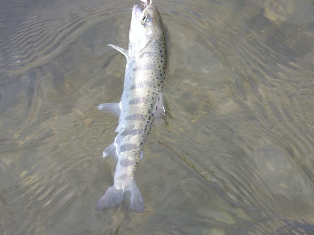 f0092492_18325953.jpg