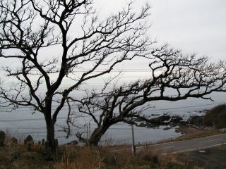 b0067795_70481.jpg