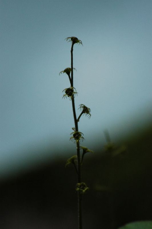 b0021897_21515856.jpg