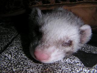 a0018200_1772422.jpg