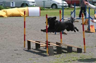 c0050400_17574633.jpg
