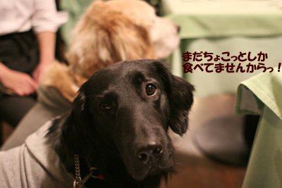 c0050400_18543614.jpg