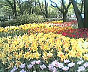 a0000202_1536311.jpg