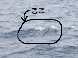 f0048405_975856.jpg