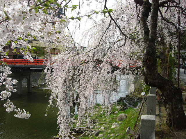 f0063920_2129969.jpg