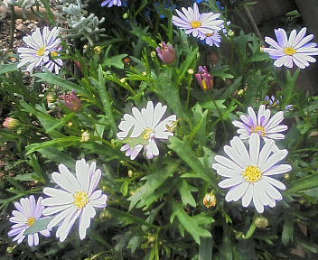 d0012323_044518.jpg