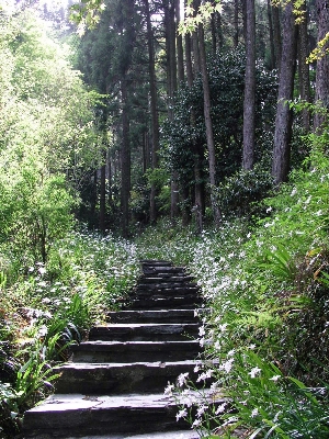 e0071225_17242899.jpg
