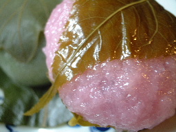 b0046527_2327089.jpg