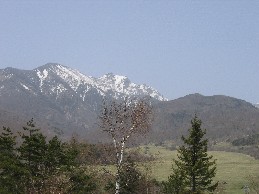b0057839_13253861.jpg