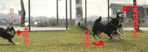 e0000946_2327435.jpg