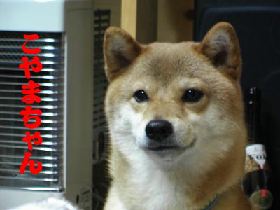 e0000946_235045.jpg