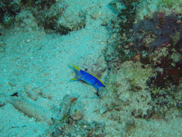 d0065247_20592387.jpg