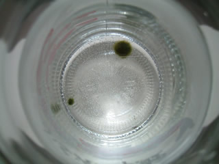a0006252_11425140.jpg