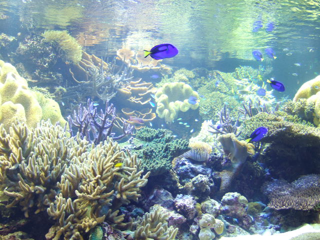 e0088654_2247236.jpg