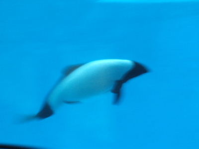 e0088654_22544354.jpg