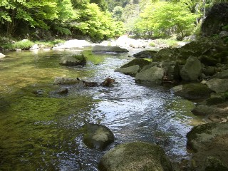 f0061056_614013.jpg