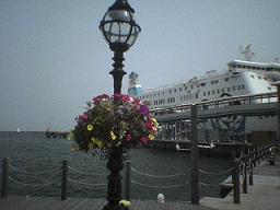 d0006858_1816381.jpg