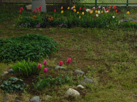b0015260_885921.jpg