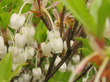 f0049362_0492255.jpg