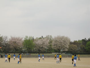 f0049362_0533521.jpg