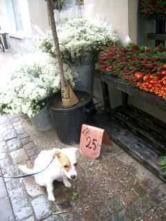 e0079166_2282025.jpg