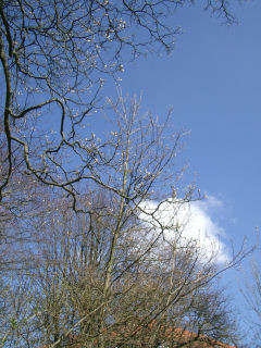 e0079166_23154232.jpg